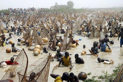 de pe net - 196articolepescuit-nigeria.jpg